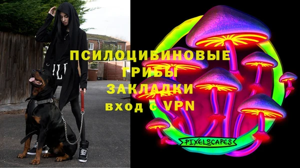 соль ск Абдулино