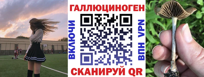 KRAKEN онион  закладки  Алатырь  Галлюциногенные грибы MAGIC MUSHROOMS 